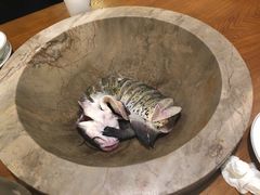 江团鱼-云中鱼蒸汽石锅鱼(川沙百联店)