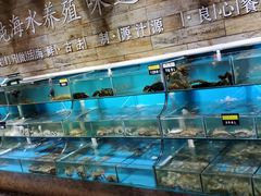 水产区-蟹谢蒸鲜自助餐厅