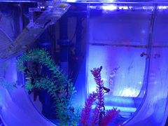 -海合安青岛极地海洋公园