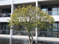 -深圳大梅沙京基洲际度假酒店