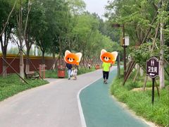 -回龙观体育文化公园