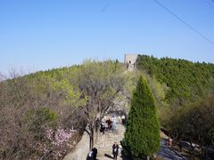 -原山国家森林公园