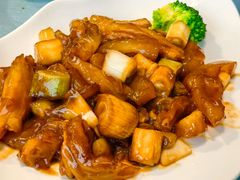 -大连湾旭日·家宴·海肠捞饭(马栏广场店)