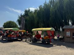 -镇北堡西部影城