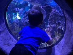 -成都浩海立方海洋公园