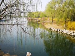 -大兴滨河森林公园