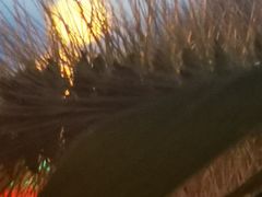 -新碧水留香新桑拿