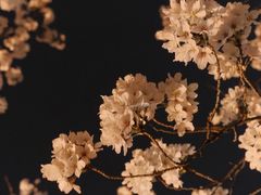 -龙美术馆(西岸馆)