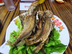 -谢记上海大排档(长寿路店)