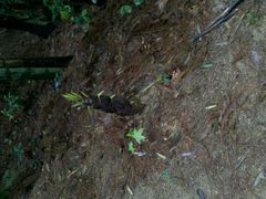 android_upload_pic-红寺湖