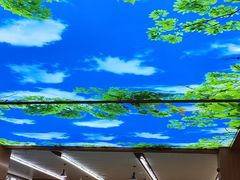 -北京外国语大学东院食堂