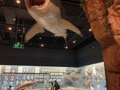 -浙江自然博物院(杭州馆)