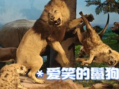 -国家自然博物馆