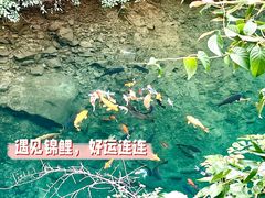 -大奇山国家森林公园