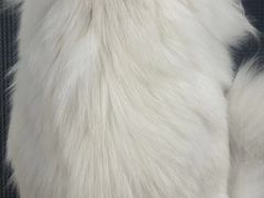 -comecome来吧宠物(奥克斯中心店)