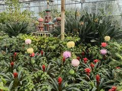 -南宫五洲植物乐园