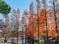 -虞山风景区