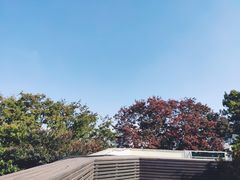 -新罗免税店(首尔总店)