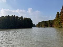 -上海海湾国家森林公园