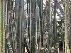 -南山植物园