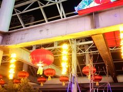 -南宫五洲植物乐园