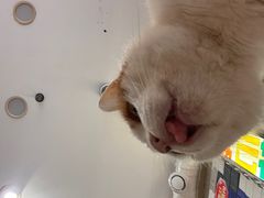 -平行世界·猫咖(首经贸店)