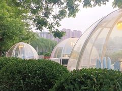 -西安汉城湖景区