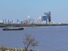 -上海滨江森林公园