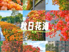 -天河客运站(地铁站)