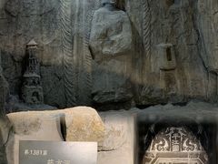 -广东中医药博物馆