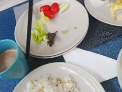-深圳东部华侨城瀑布酒店