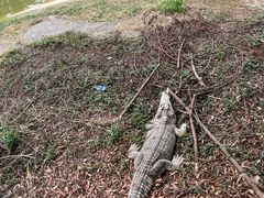 -泉州海丝野生动物世界