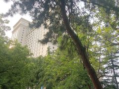 -西苑公园