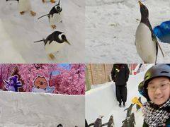 -广州热雪奇迹