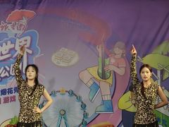 -南京银杏湖乐园