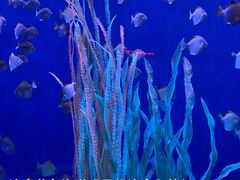 -沈阳海洋探索中心