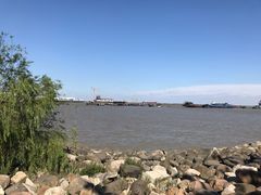 -吴淞炮台湾湿地森林公园烧烤区