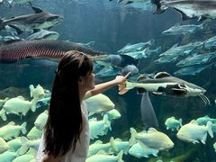 -波塞冬旅游度假区