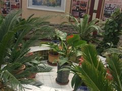 -青岛德国总督楼旧址博物馆