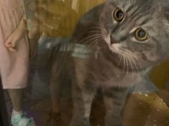 -VIKING SALOON西部美式烟熏烤肉(和平路店)