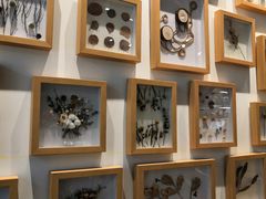 -植物学家的女儿(北马道巷店)