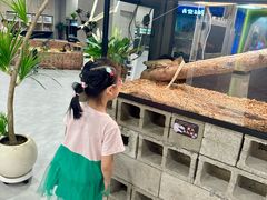 -龙湖南京江北天街