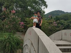 -白马涧龙池景区