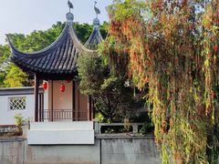 -南沙蒲洲花园