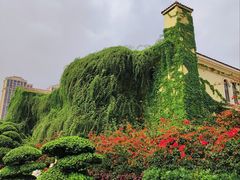 -府河摄影公园