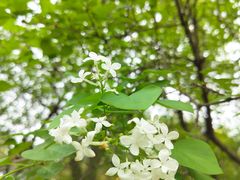-白塘生态植物园