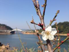 -广州市流溪河国家森林公园