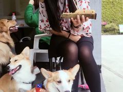 -夏霖九天银瀑风景区