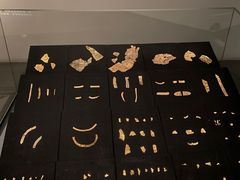 -金沙遗址博物馆