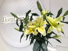 -朵拉舞蹈·少儿舞蹈·成人舞蹈(百花校区)